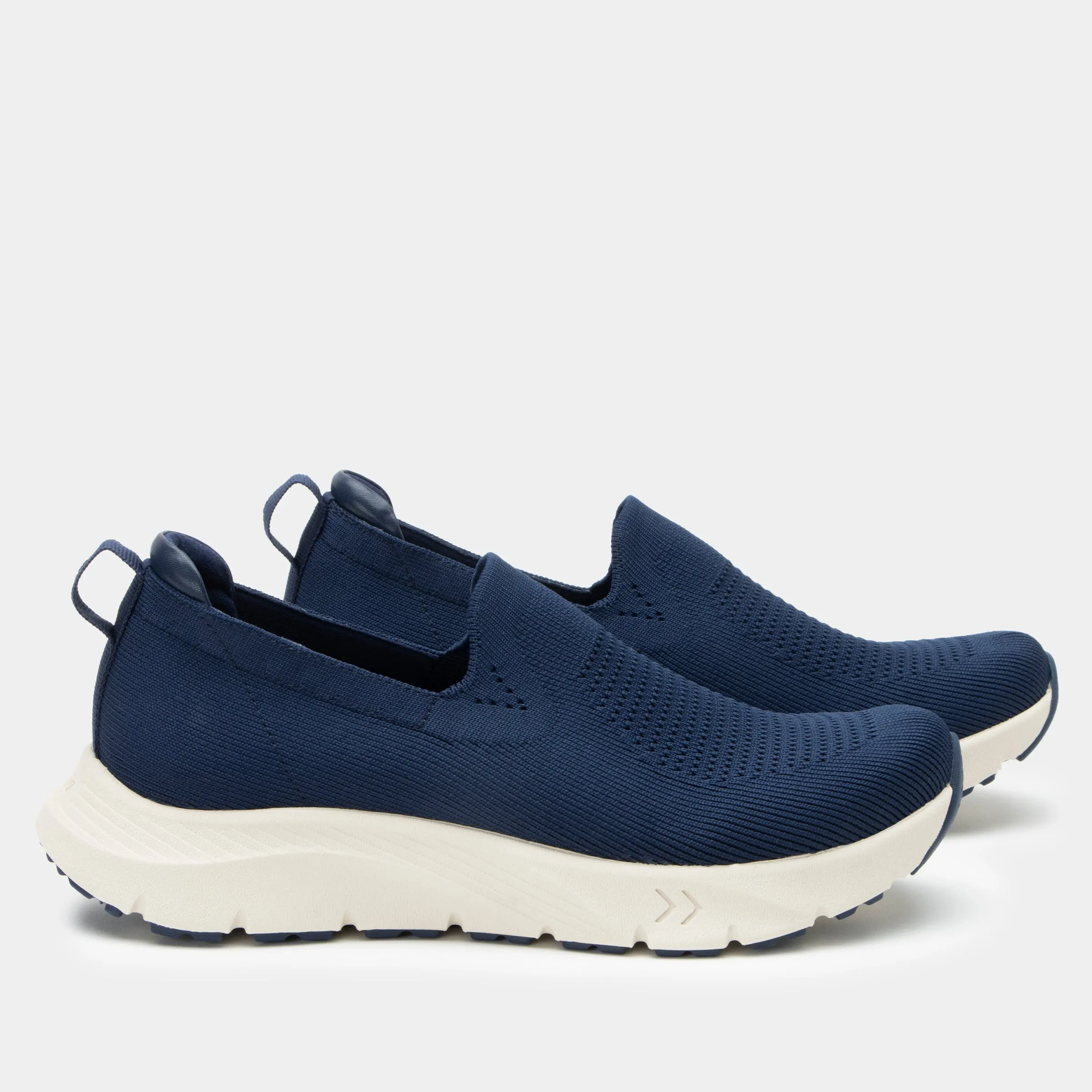 Waze Navy Shoe